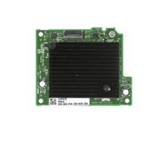 Picture of 540-BBOH Dell Dual-Port 10GBe Blade Select Network Daughter Card. Refurbished.