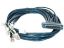 Picture of CAB-OCTAL-ASYNC Cisco Systems 8 Lead Octal Cable | New Factory Sealed