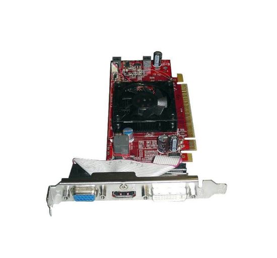Picture of NP124-69002 HP - ATI Radeon HD4350 Pci-E X16 512MB DDR2 VGA/DVI/HDMI Graphics Card W/O Cable . Refurbished.